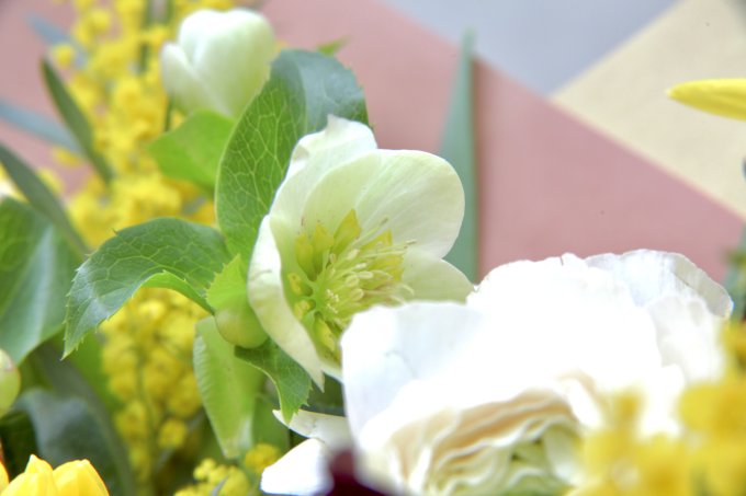 Conter fleurette photo 1